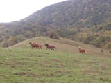 Clicca qui per vedere l'immagine in dettaglio